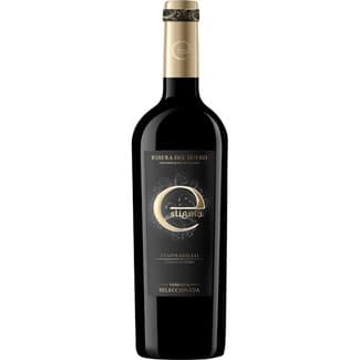 Vino Tinto Joven Tempranillo Vendimia Seleccionada DO Ribera del Duero  Estigma 75 CL