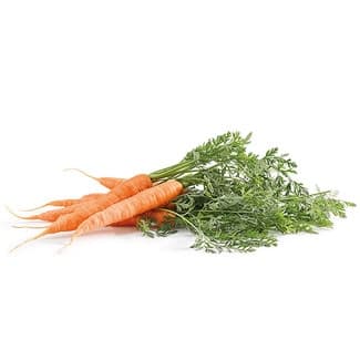 Zanahorias los Satas