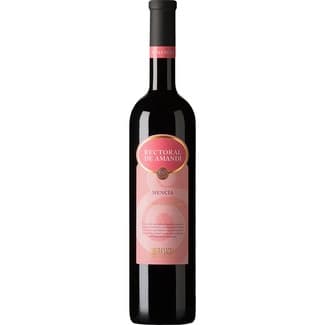 Vino Tinto Mencía DO Ribeira Sacra  Rectoral de Amandi 75 CL