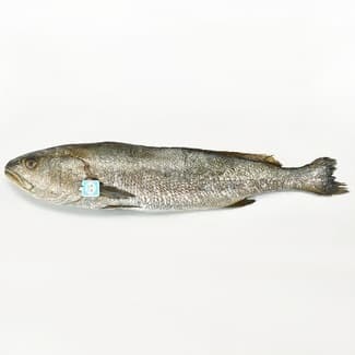 Corvina Nacional ASC Peso Aproximado