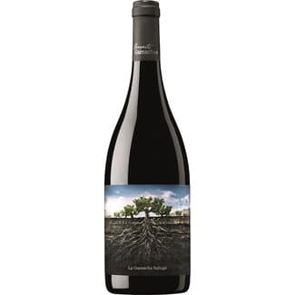 Vino Tinto la Garnacha Salvaje del Moncayo Vino de la Tierra Ribera del Queiles Garnacha España