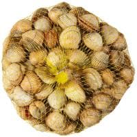 Berberecho, Bolsa 500 G