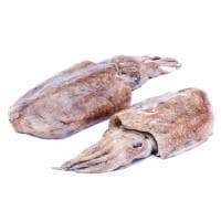 Sepia Fresca, al Peso, Compra Mínima 500 G