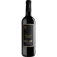 Vino Tinto Reserva D.o. Navarra Echave, Botella 75 Cl