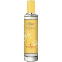 Agua de Perfume Mujer Ambar Álvarez Gómez, Vaporizador 30 Ml