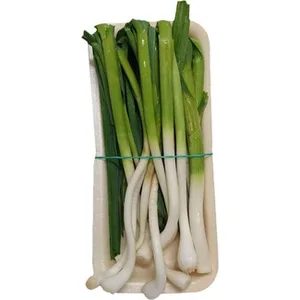 Ajetes Tiernos  la Olma 150 G