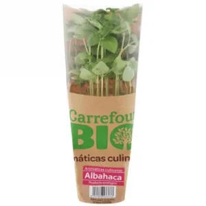 Albahaca Ecológico Carrefour Bio Maceta 1 Ud
