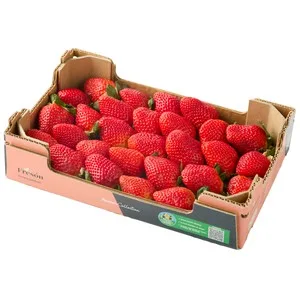 Alcampo Cultivamos LO Bueno Fresón Caja Rosa 1 Kg. 1000 G