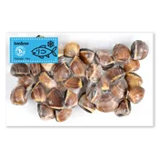 Almeja del Pacífico Cocida