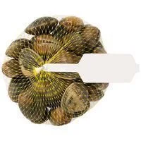 Almeja Marinera, Malla 500 G