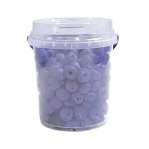 Arándanos Carrefour 500 G