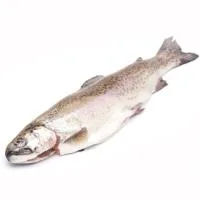 Trucha Asalmonada Eviscerada, Pieza Aprox. 600 G