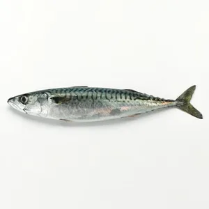 Caballa Peso Aproximado 300 G