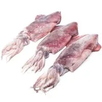 Calamar Elaborado Entero 200-600, al Peso, Compra Mínima 600 G