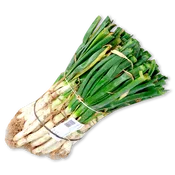 Calçots Manojo