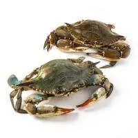 Cangrejo Azul, Dos Piezas, al Peso Compra Mínima 500 G