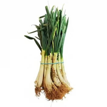 Calçots Manojo de 1 Kg