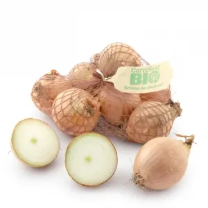 Cebolla Ecológica Carrefour Bio 1 Kg