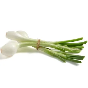 Cebolleta 400 G