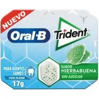 Chicle de Hierbabuena Trident Oral-b, Paquete 17 G
