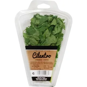 Cilantro  Herbex 20 G