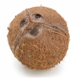 Coco 500 G Aprox