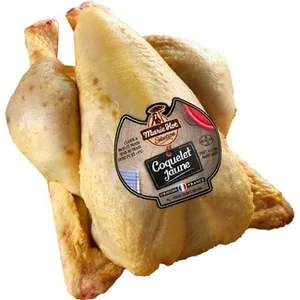 Coquelet Criado en Libertad Label Rouge en las Landas Peso Aproximado Sertina 550 G