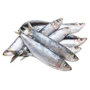 Sardina de Asar - Entera 300 G