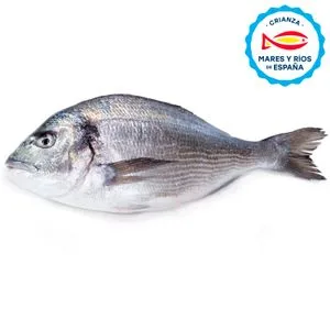 Dorada Crianza de España