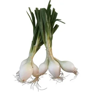 Cebolleta Dulce 450 G