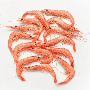 Gamba Blanca Cocida 95-110 Pzas/kg