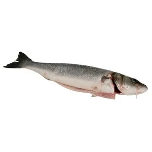 Lubina Grande Mostrador - Entera 750 G
