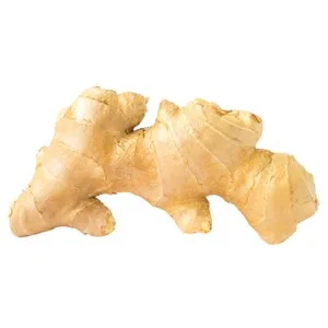 Jengibre Ecológico Hortaliza Bja 150 G.