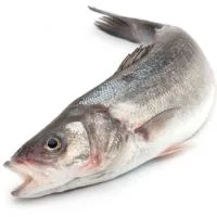 Lubina de Crianza del Delta, Pieza Aprox. 500 G