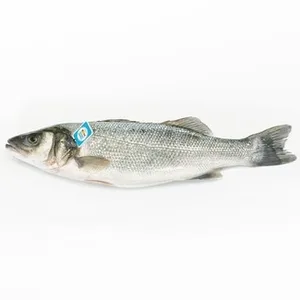 Lubina Nacional de Crianza ASC Peso Aproximado