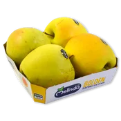 Manzana Golden, Bolsa 1,5 Kg