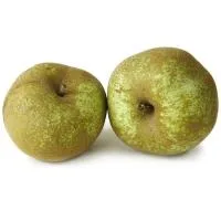 Manzana Reineta Verde Selección, al Peso, Compra Mínima 1 Kg
