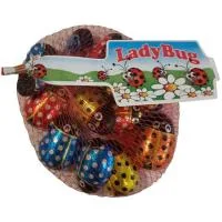 Red de Mariquitas Laica, Red 84 G