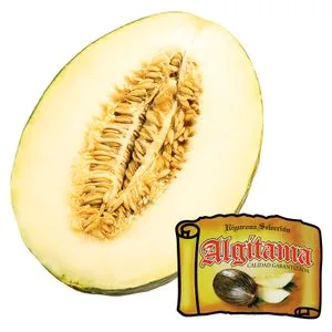 Melón Piel de Sapo Partido