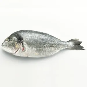 Dorada Nacional de Crianza ASC Peso Aproximado 800 G