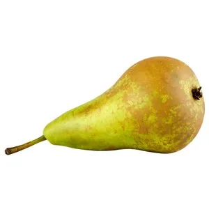 Alcampo