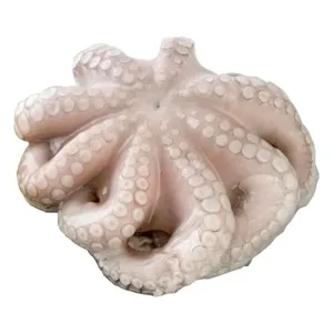 Pulpo Entero Mediano Crudo. 1875 G