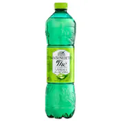 Refresco de Té Verde con Aloe Vera San Benedetto 1.5 L