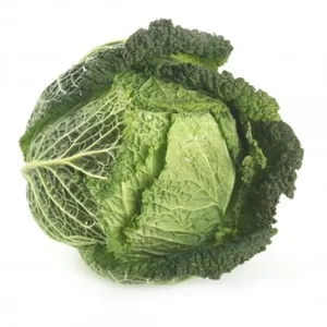 Repollo Rizado 1 Kg