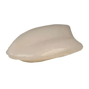 Sepia Grande Mostrador - Entera Limpia 675 G