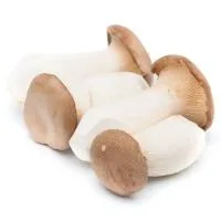 Seta Cardo, al Peso, Compra Mínima 500 G