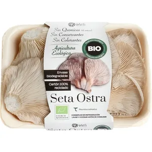 Seta Ostra Ecológica Meli