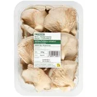 Seta para Plancha Eroski, Bandeja 500 G