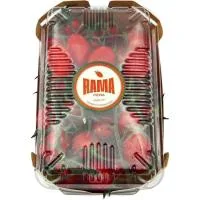Tomate Cherry Pera en Rama TIP Top, Bandeja 500 G