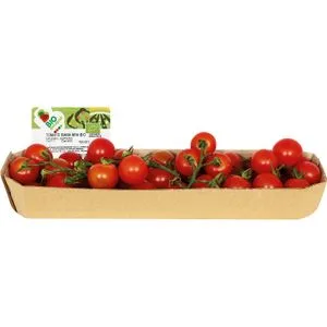 Tomate Cherry Rama Ecológico 250 Gr